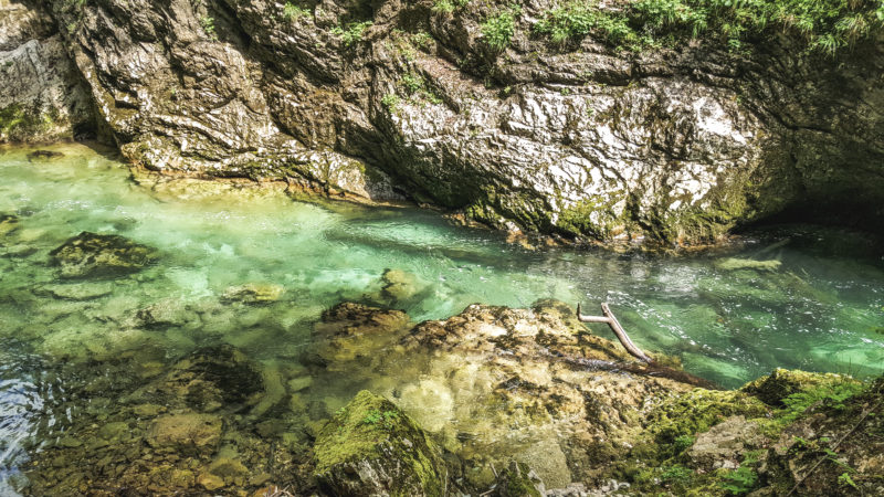 La Gorge de Vintgar, entre limpidité et hordes de touristes