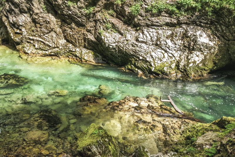 The Vintgar gorge, between limpidity and hordes of tourists
